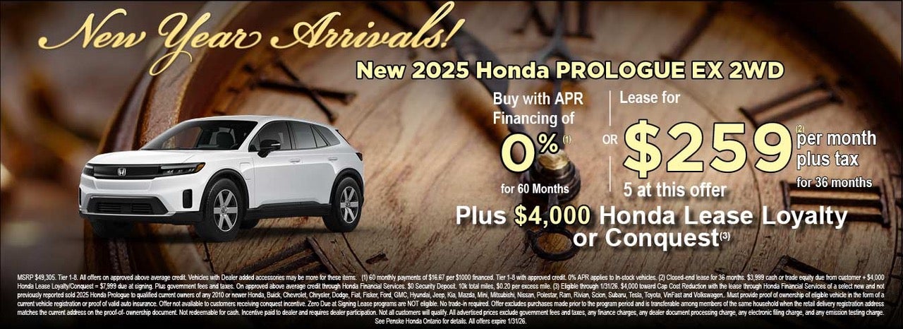 Specials For The New Year