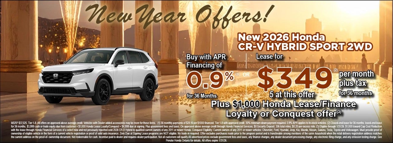 Specials For The New Year