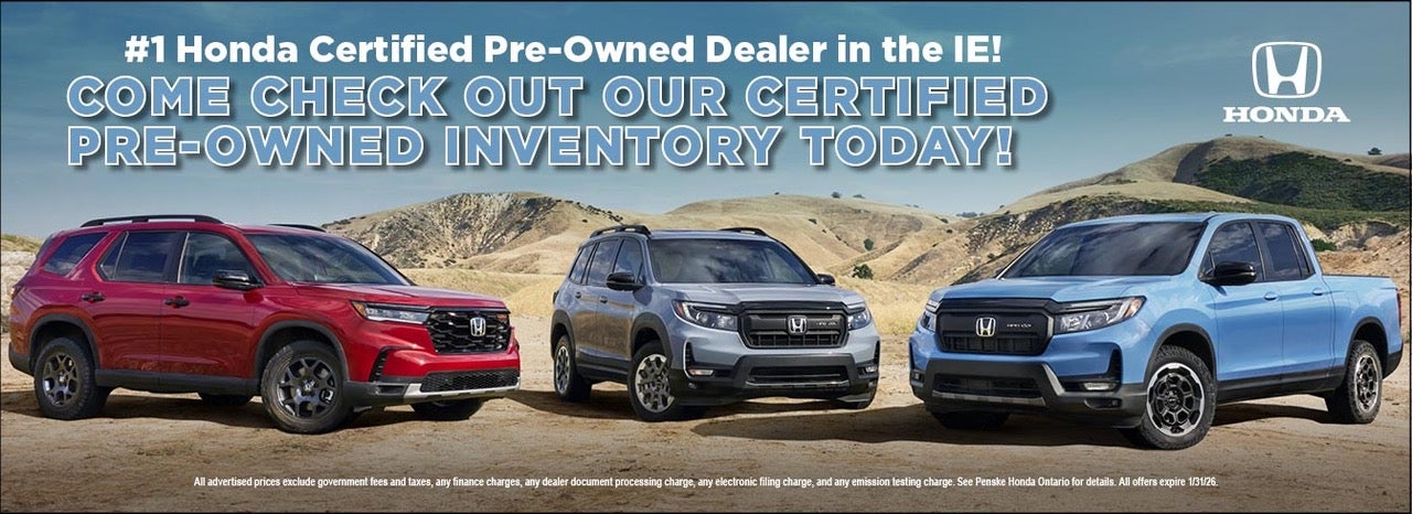 Specials For The New Year